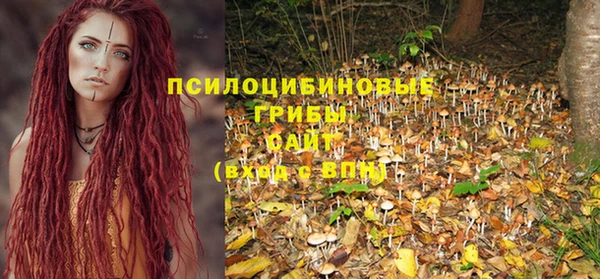 ECSTASY Верхний Тагил
