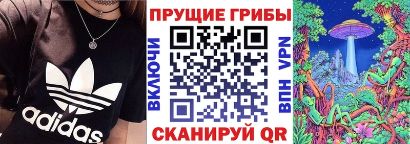 Псилоцибиновые грибы ЛСД  Опочка 